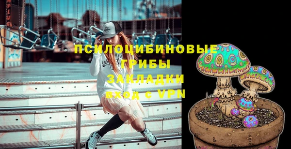 дмт Алексин