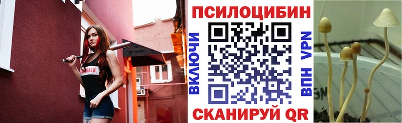 купить закладку  Киселёвск  Галлюциногенные грибы ЛСД 